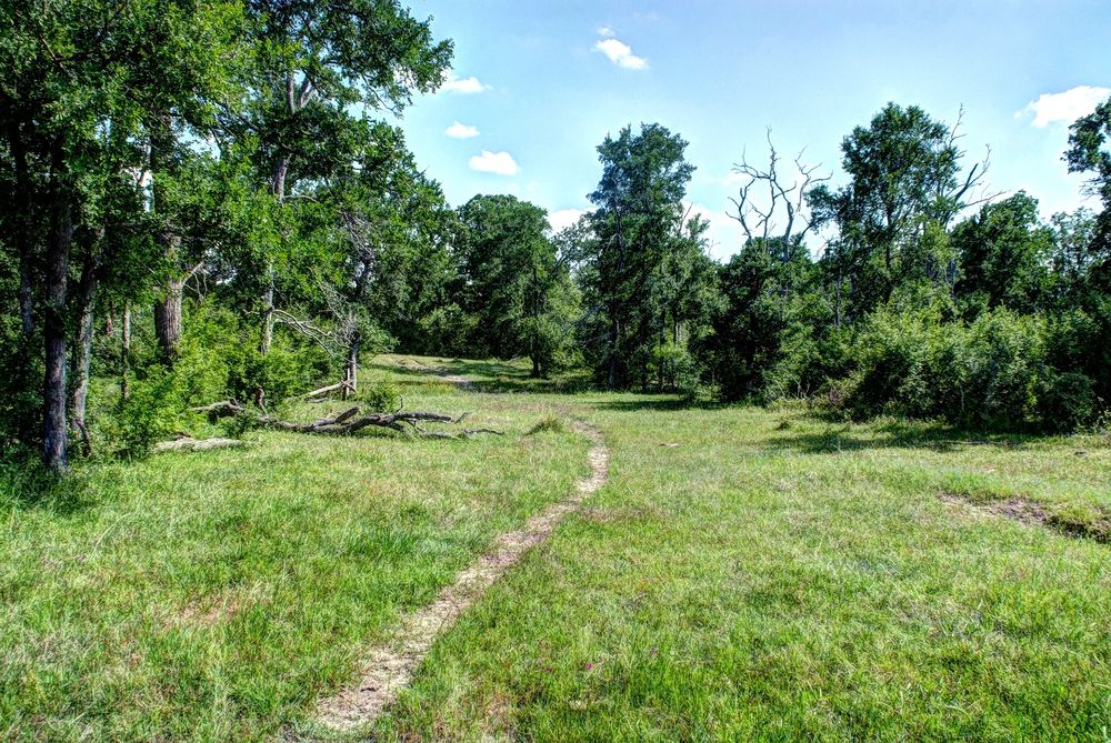 Grimes County Ranch: FM 3090 & CR 306, Anderson, TX 77830